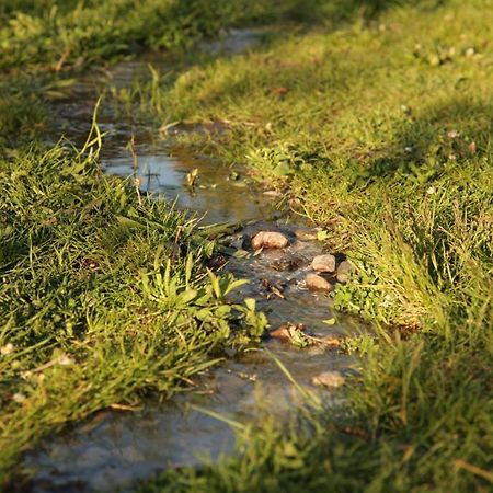 Grosse Wohnung / Haushaelfte In Peetzig Am See Angermunde Esterno foto