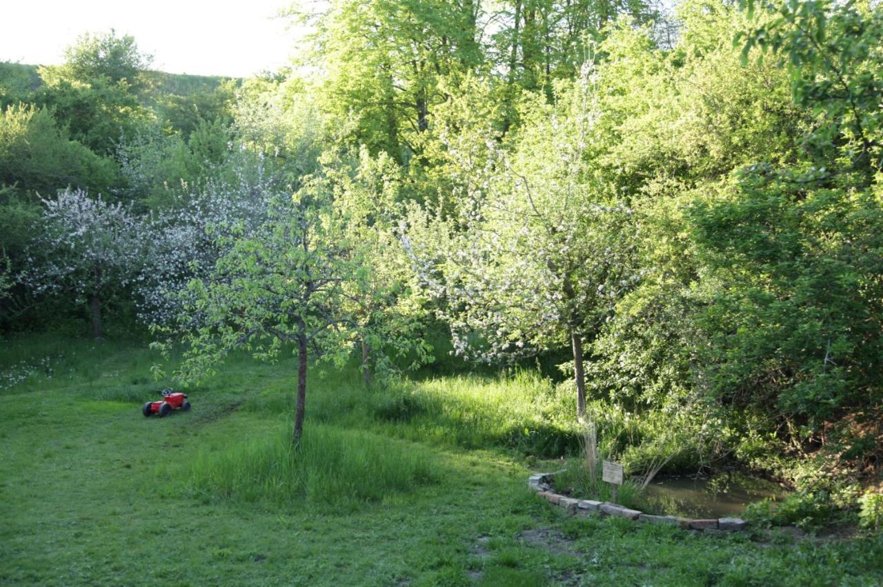 Grosse Wohnung / Haushaelfte In Peetzig Am See Angermunde Esterno foto