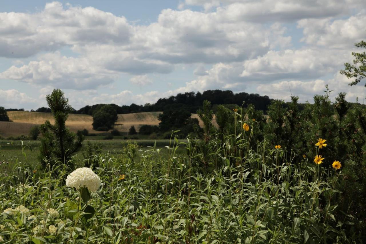 Grosse Wohnung / Haushaelfte In Peetzig Am See Angermunde Esterno foto