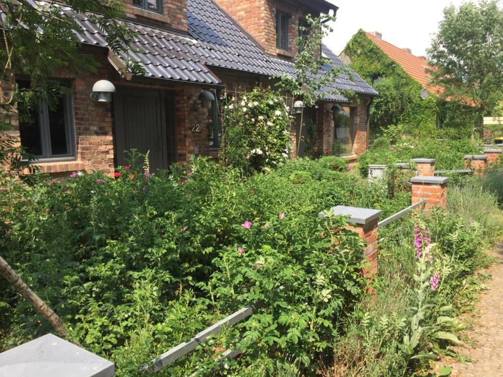 Grosse Wohnung / Haushaelfte In Peetzig Am See Angermunde Esterno foto